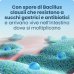 Enterogermina 2 Miliardi Sospensione Orale 20 Flaconcini x5ml