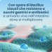 Enterogermina&reg; 6 Miliardi/2g Sospensione Orale 9 Bustine