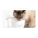 Catit Pixi cat drinking fountain combo pack bianca