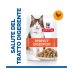 HILL'S SCIENCE PLAN GATTO ADULT 1+ PERFECT DIGESTION AL POLLO DA 85 GR IN BUSTA