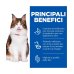 HILL'S SCIENCE PLAN GATTO ADULT 1+ PERFECT DIGESTION AL POLLO DA 85 GR IN BUSTA