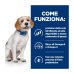 Hill's Prescription Diet z/d Low Fat Alimento Per Cani All'Idrolizzato Di Soia 10kg