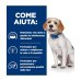 Hill's Prescription Diet z/d Low Fat Alimento Per Cani All'Idrolizzato Di Soia 10kg