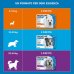 Frontline Spot On Cani (2-10Kg), 3 Pipette Antiparassitarie