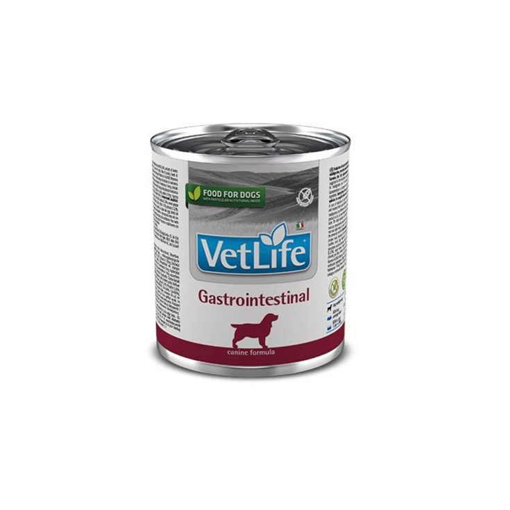 Vet Life Gastrointestinal - 2KG