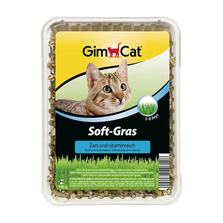 GIMCAT ERBA-GATTO EX.SOFT 100 GR