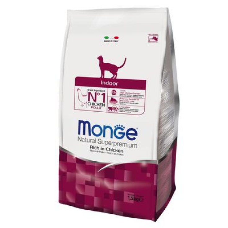 MONGE INDOOR CAT CROCCANTINI
