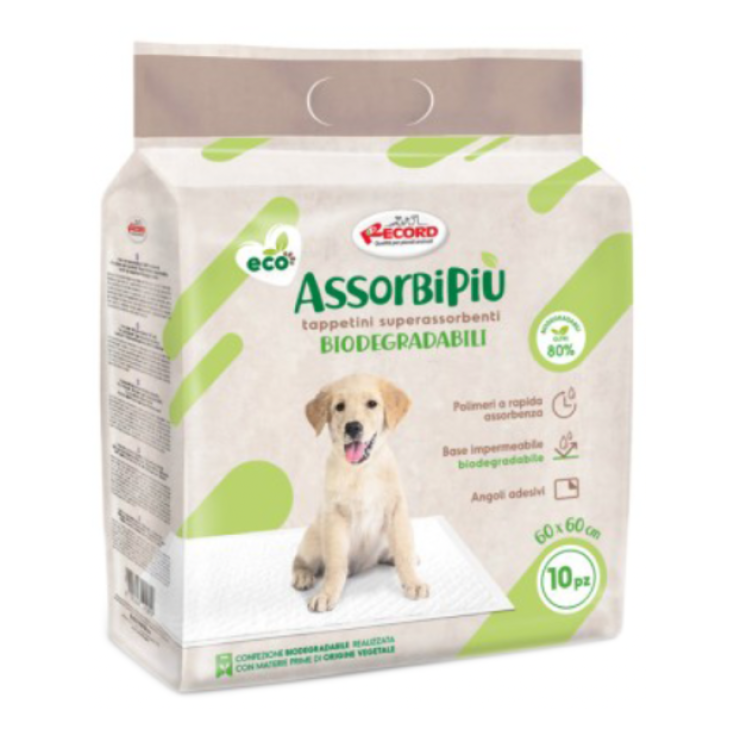 RECORD ASSORBIPIU 10 TAPPETINI ASSORBENT