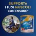 ENSURE&reg; ADVANCE FRAGOLA ABBOTT 400G