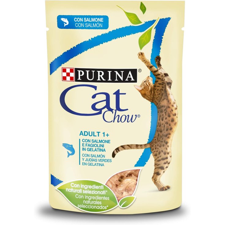 CAT CHOW ADULT SALMONE 85G