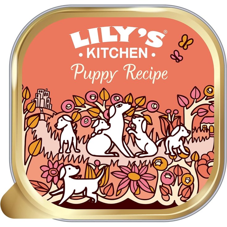 LK DD ADULT CASSEROLE POLLO ANATRA 2.5KG
