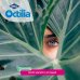 Octilia Natural Gocce Oculari Occhi Irritati E Arrossati IBSA 10 Monodose