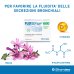 Fluistar&reg; 600 Stardea 14 Bustine Da 3,5g