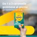 Supradyn Difese Junior Integratore per Bambini 25 Caramelle Gommose