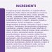 Neocate Junior Nutricia 400g