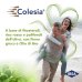 Colesia&reg; IBSA Farmaceutici 30 Capsule Molli