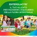 Bevibile Bambini Enterolactis&reg; 12x10ml