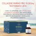 Collagene Marino Pro 10000mg Optima 6 Flaconcini