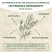 Australian Tea Tree Oil 10ml