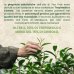Crema Purificante Tea Tree 100ml