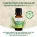 Australian&nbsp;Tea Tree Soluzione Unghie Optima 10ml