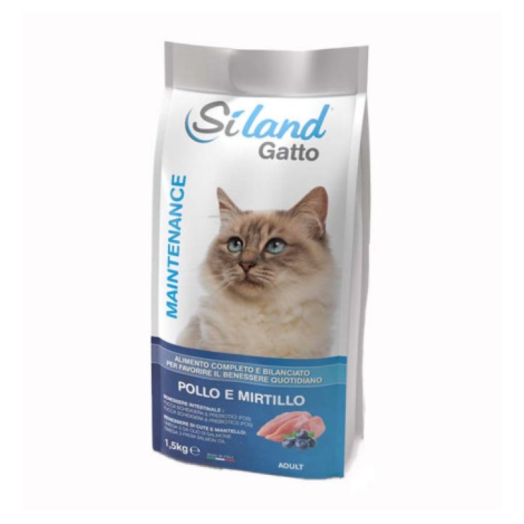 Adult Mantenimento Pollo  e Mirtilli - 1,50KG