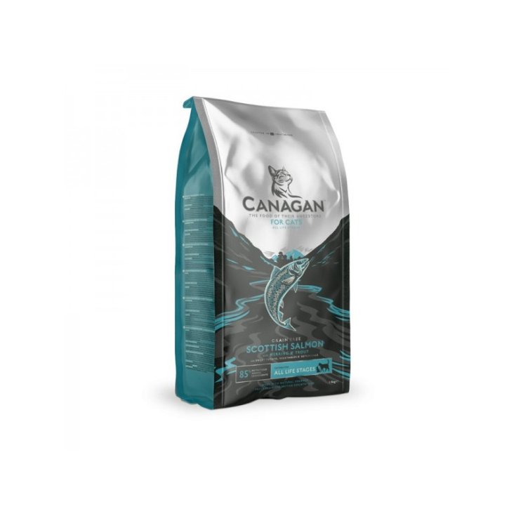 CANAGAN GATTO SCOTT SALM 375G