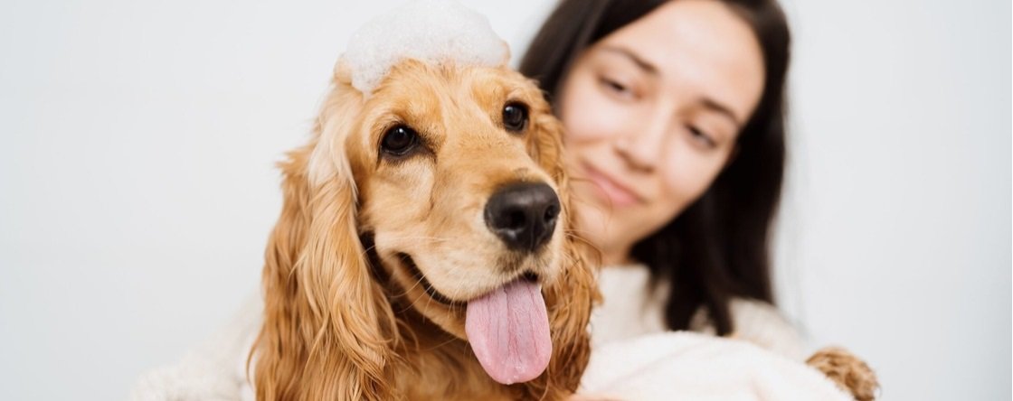 Che balsamo usare per il cane?