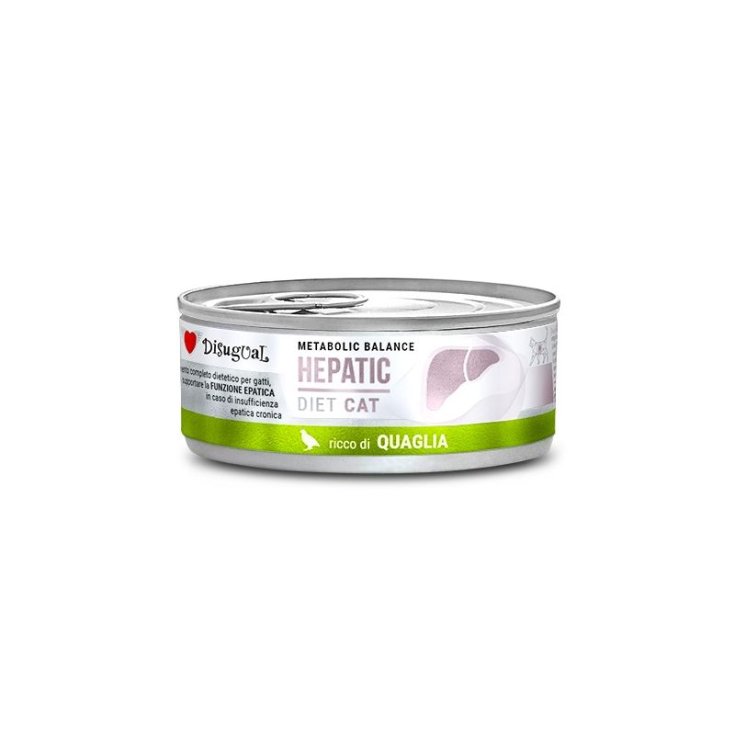 DISUGUAL CAT HEPATIC QUAGLIA 85G