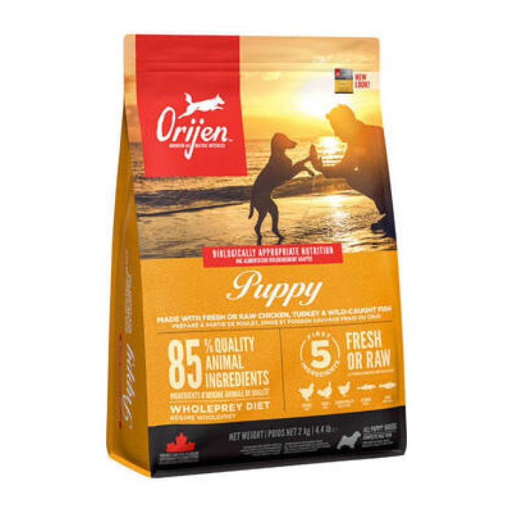 NVD BR. ORIGINAL DOG PUPPY SALMONE 2 KG