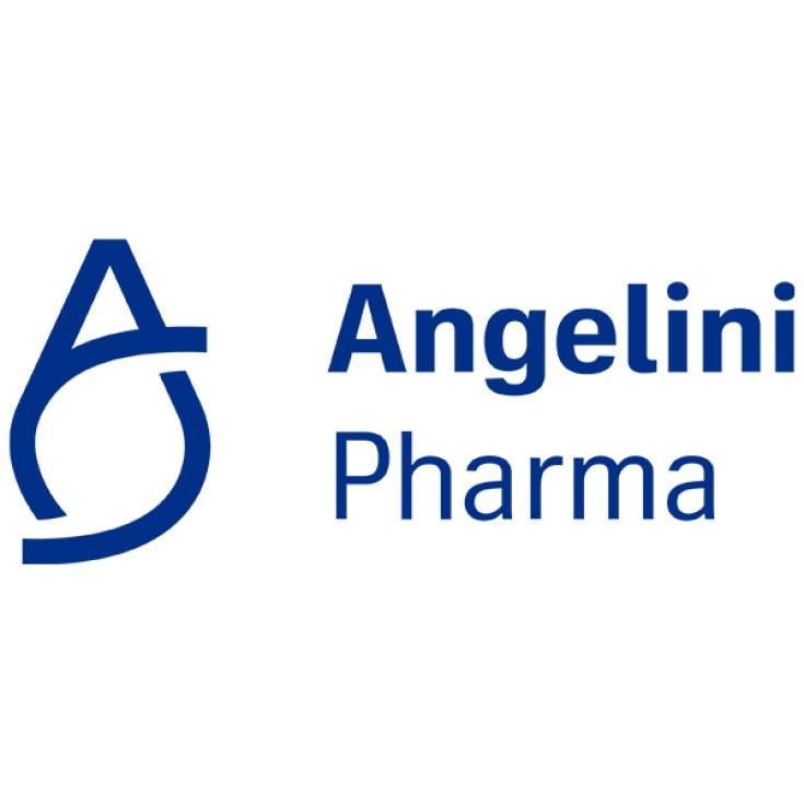 AMUCHINA DISINFETTANTE 5L