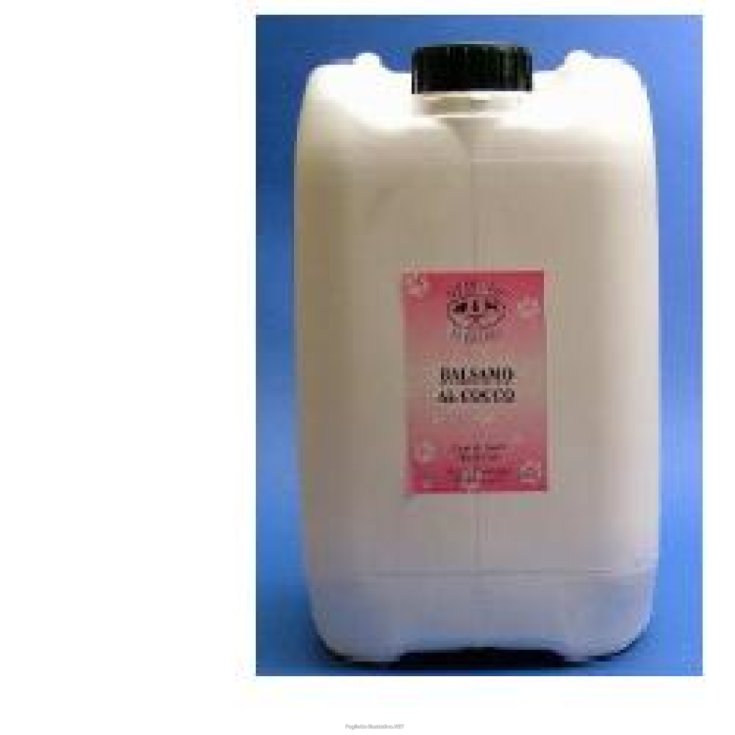 Shampoo Ristrutturante Pro Active 46 - 250ML
