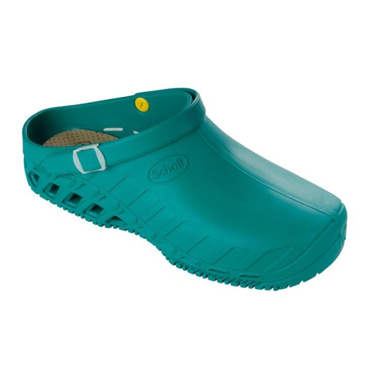 Clog Evo&nbsp;Unisex Scholl Verde 46-47