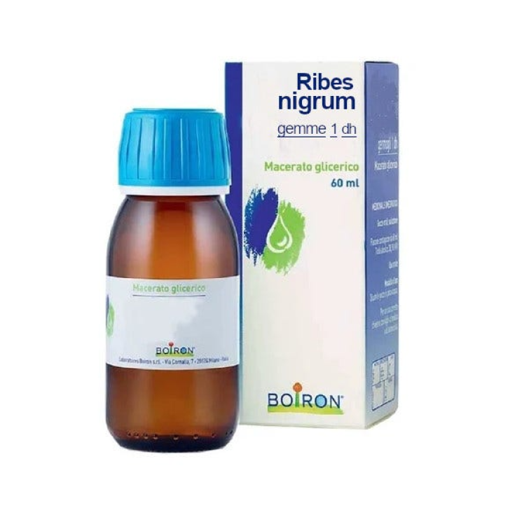Ribes Nigrum Gemme 1dh MG Boiron 60ml