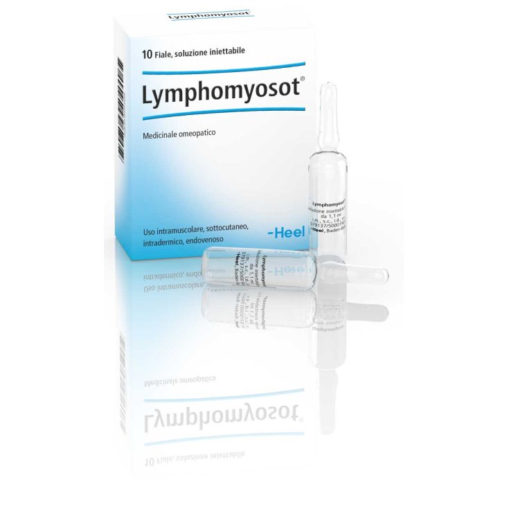 Lymphomyosot Heel 10 Fiale Da 1,1ml Lymphomyosot Heel 10 Fiale Da 1,1ml