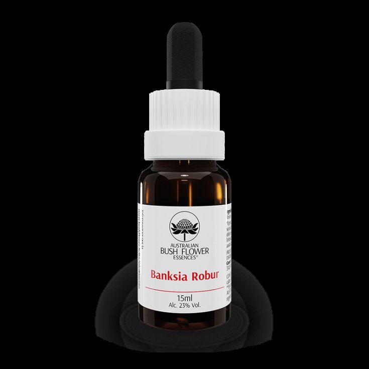 Banksia Robur Australian Bush FLowerr Essences 15ml