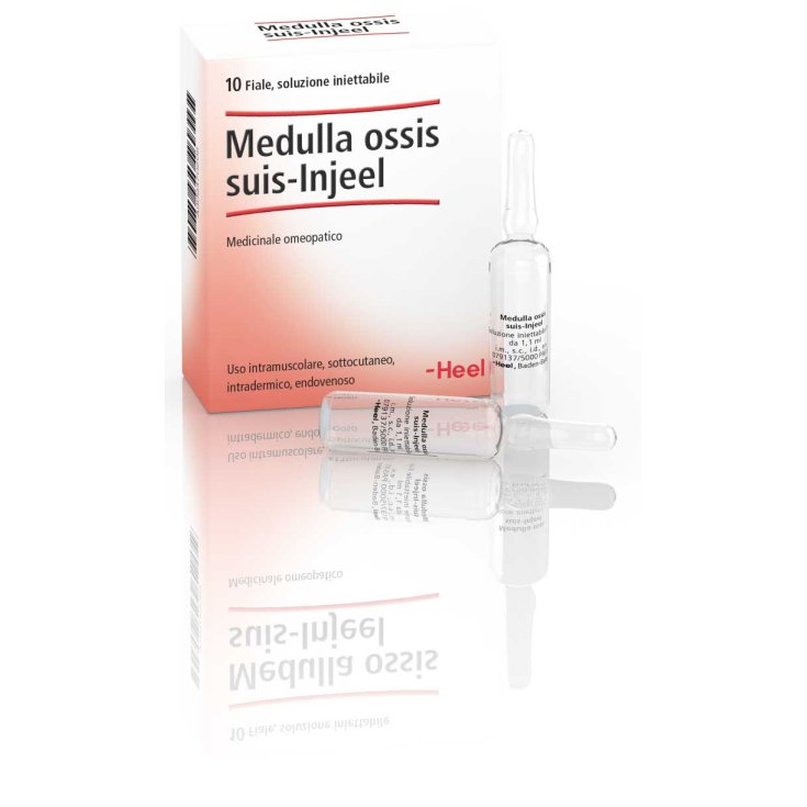 Medulla Ossis Suis-Injeel Heel 10 Fiale Da 1,1ml