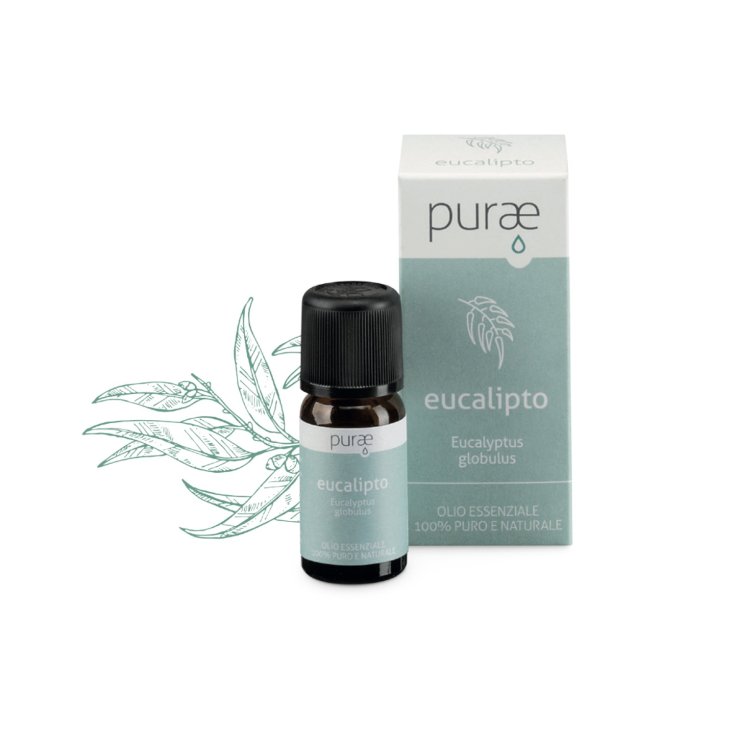 Eucalipto Foglie Purae 10ml