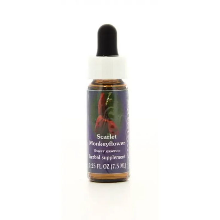 Scarlet Monkeyflower&nbsp;Essenza Singola&nbsp;Californiana Flower Essence Society 7.4ml
