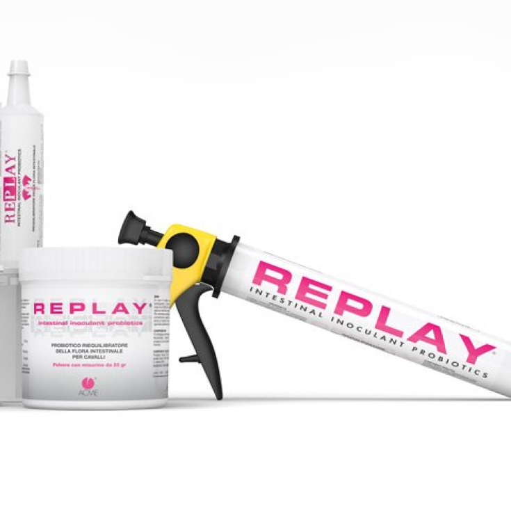 Replay Pasta Orale ACME 300g