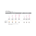 Autoreggente Daino Tg.3&nbsp;Ladygloria 24 GloriaMed