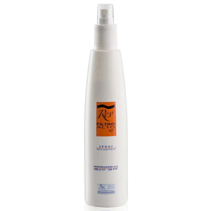 Rev Filtro Alto Spray 300ml