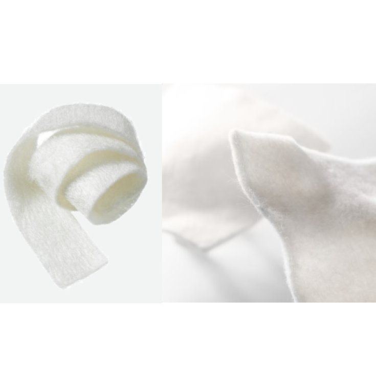 Biatain&reg; Alginate&nbsp;3x44cm Coloplast 6 Pezzi 3740