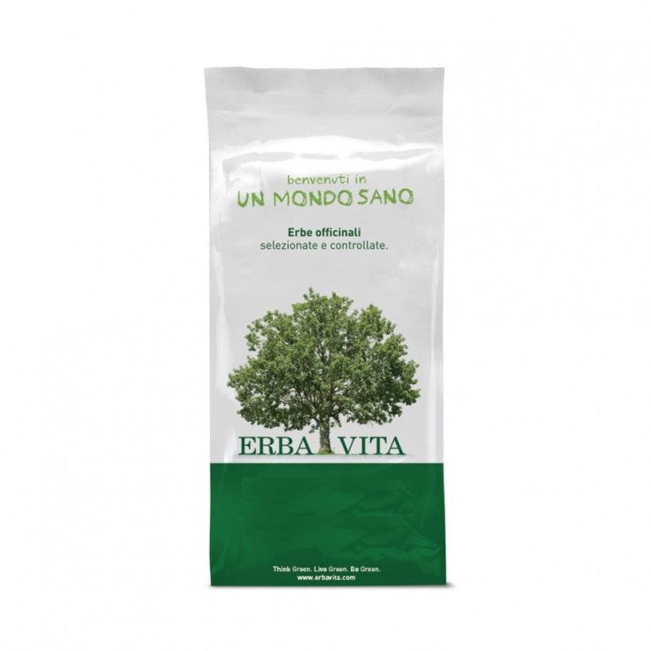 T&egrave; Verde Cinese Tisane Erba Vita 100g