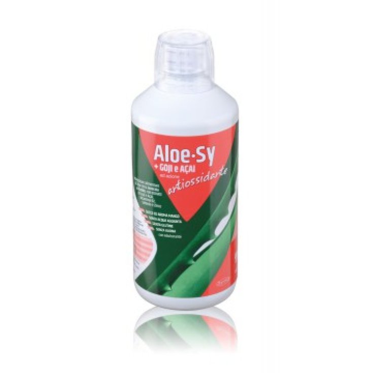 Aloe Sy + Goji E A&ccedil;ai Ad Azione Antiossidante Syrio 1000ml