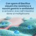 Enterogermina 4 Miliardi 20 Flaconcini Da 5ml