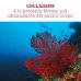 Collagene Marino Idrolizzato Puro 60 Capsule