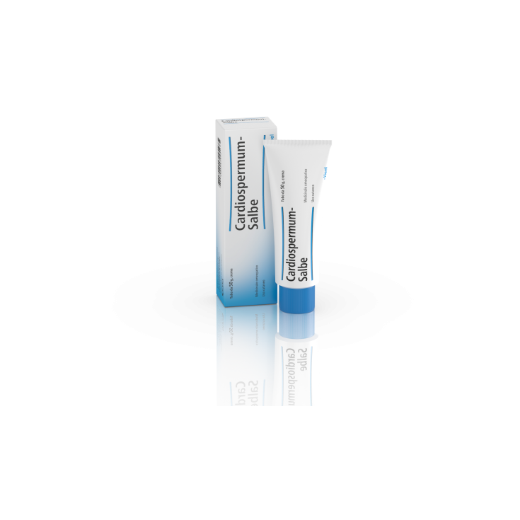 Cardiospermum Salbe Guna Crema 50g