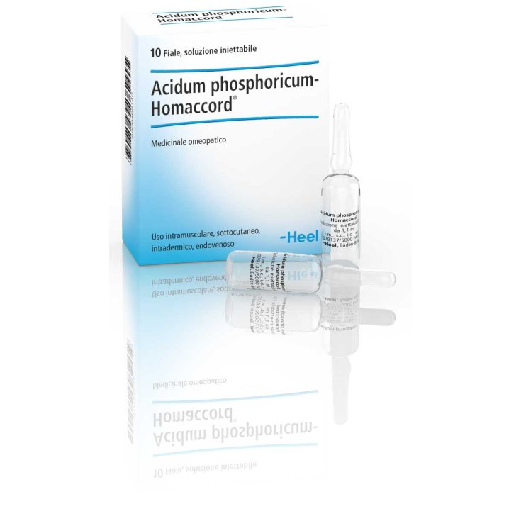 Acidum Phosphoricum-Homaccord Heel 10 Fiale Da 1,1ml
