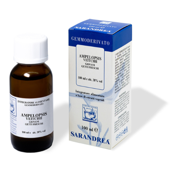 Ampelopsis Weitchii Mg Sarandrea 100ml
